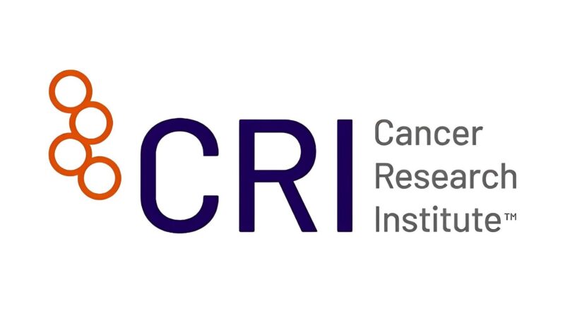 Christina Yap: Opportunity in methods research at The Institute of Cancer Research
