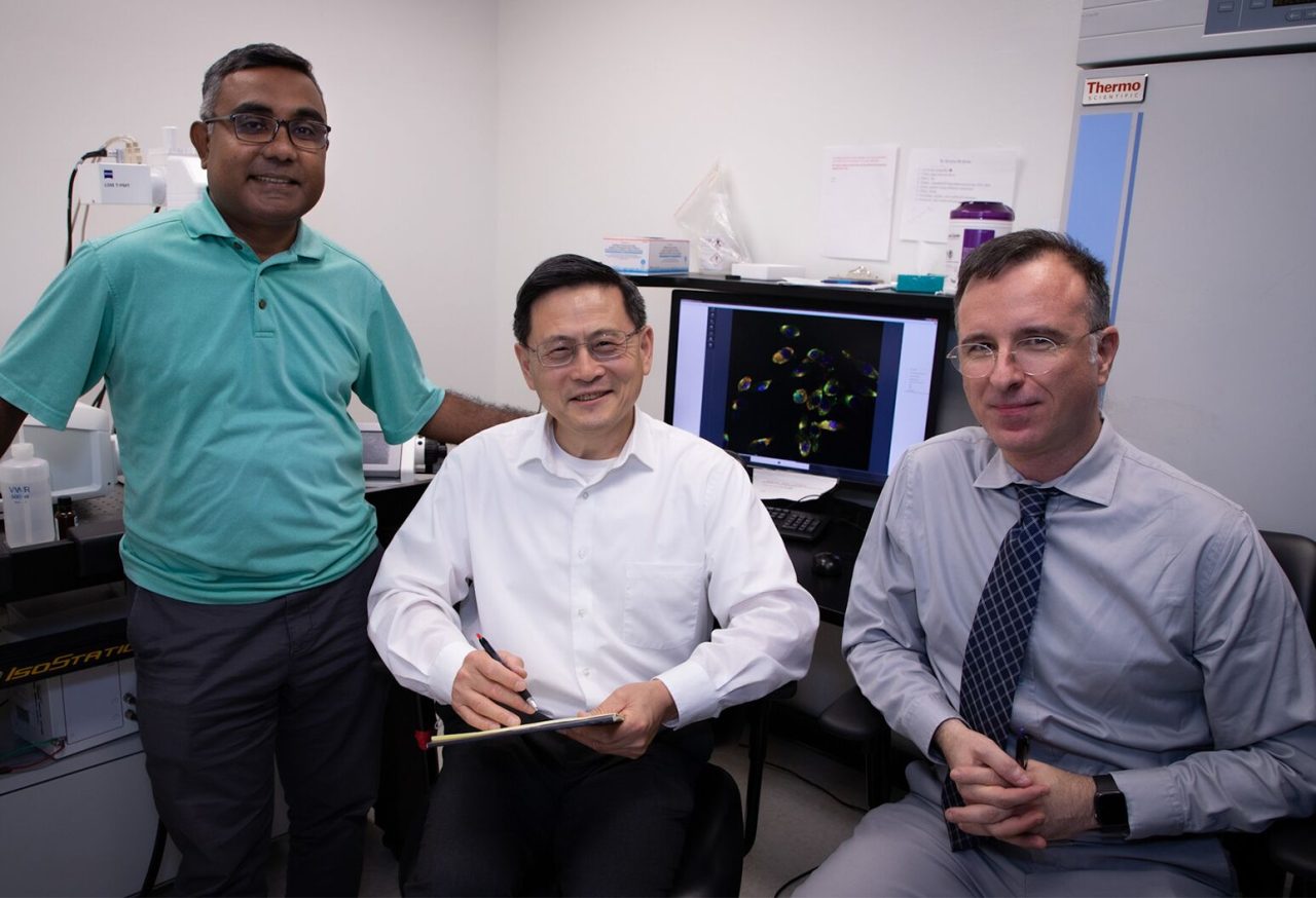 Feinstein Institutes researchers identify a type of white blood cell that can worsen inflammation in sepsis – The Feinstein Institutes