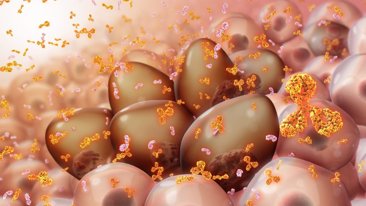 Joshua Richter: Another myeloma approval today! Elrexfio