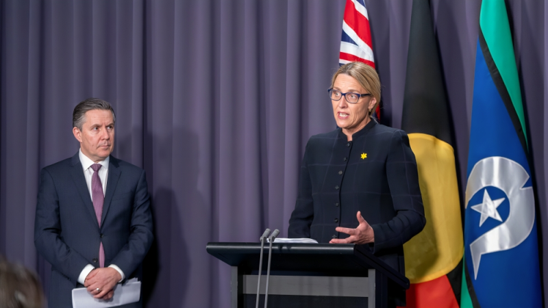 Tanya Buchanan: This is legislation that simplifies, modernizes, and helps future-proof tobacco control in Australia in order to reduce smoking prevalence