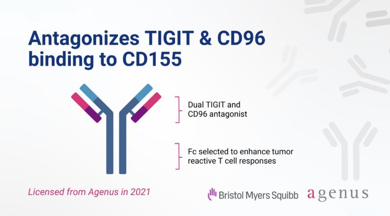 TIGIT bispecific program is advancing in clinical trials for non-small cell lung and gastric cancers. – Agenus