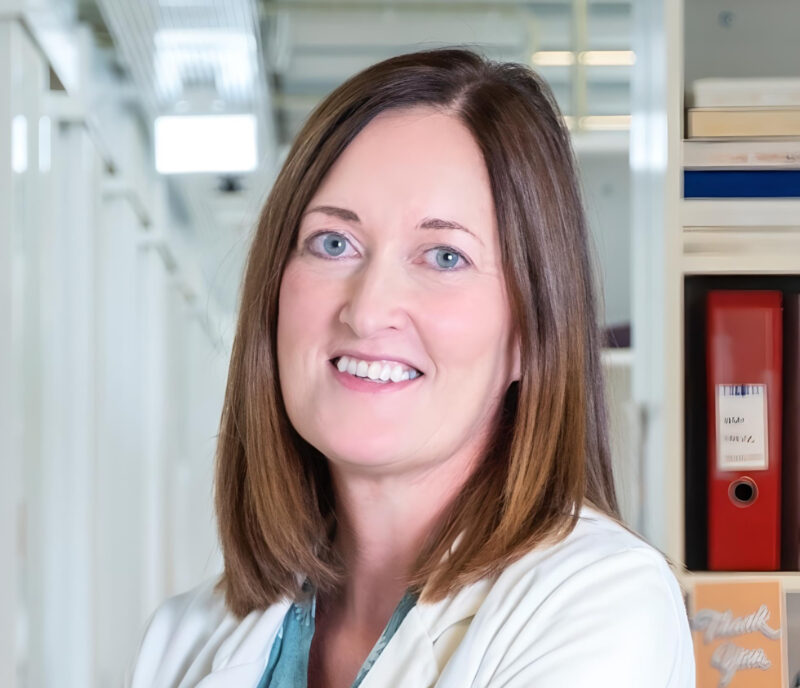 Johanna Joyce: Two great new reviews emphasizing the importance of epigenetic plasticity and the tumor microenvironment