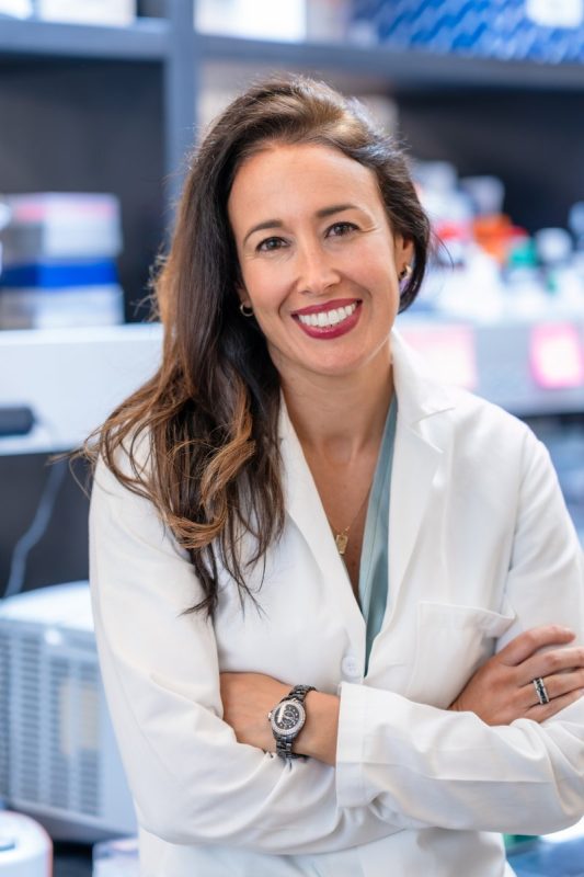 New study by Cigall Kadoch, PhD at Dana Farber reveals the sequence-specific contributions of intrinsically disordered proteins known as IDRs, which are implicated in cancer. – Dana-Farber News