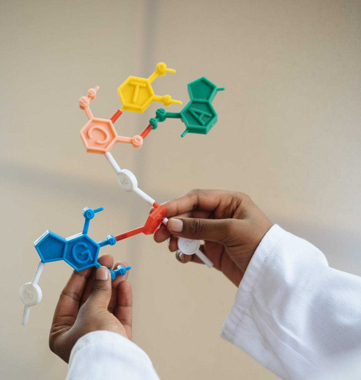 Postdoc opportunities are immediately available in IARC’s Genomic Epidemiology Branch! – IARC