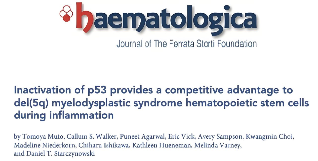 Daniel Starczynowski: Happy to see the final version of our paper in the latest edition of Haematologica