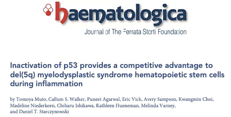 Daniel Starczynowski: Happy to see the final version of our paper in the latest edition of Haematologica