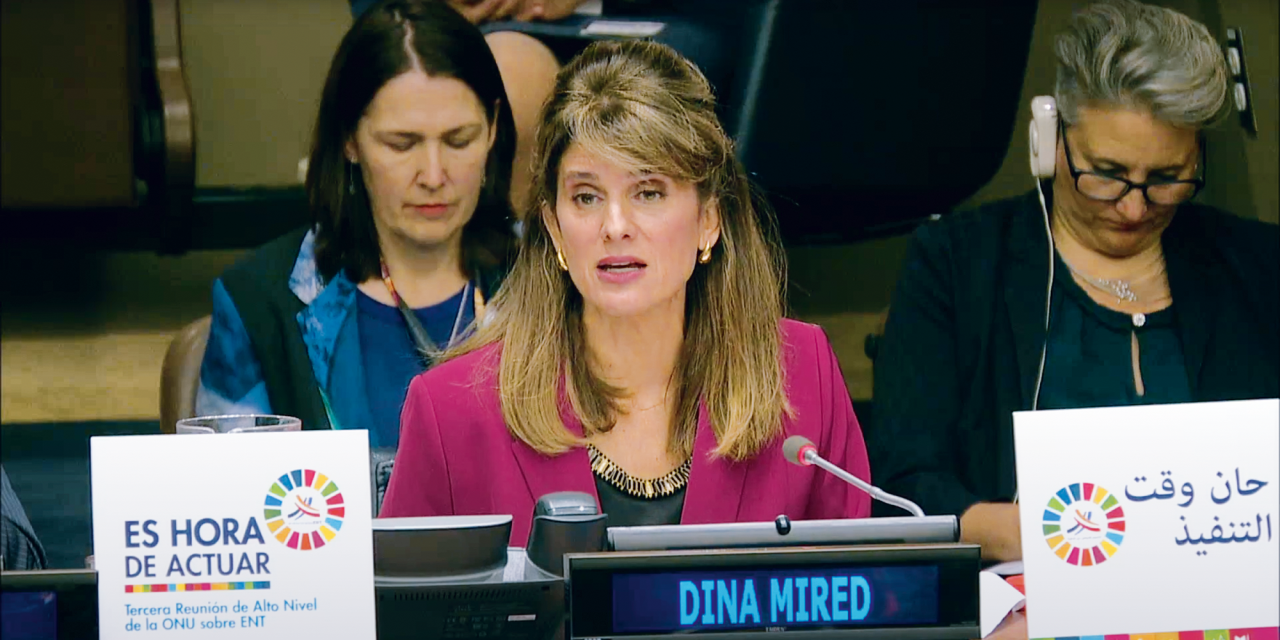 Princess Dina Mired: Human rights, International law and empathy cannot be selective