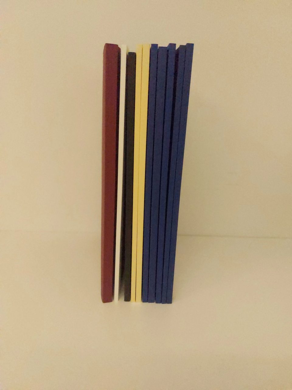 All the bound theses of the students of this class except for the one that was sent to Brazil – Advanced Oncology
