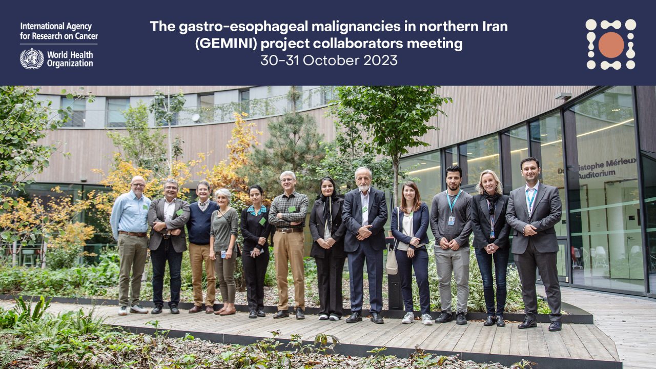 Scientists discuss more than two decades of collaborations within GEMINI project and Golestan Cohort – IARC