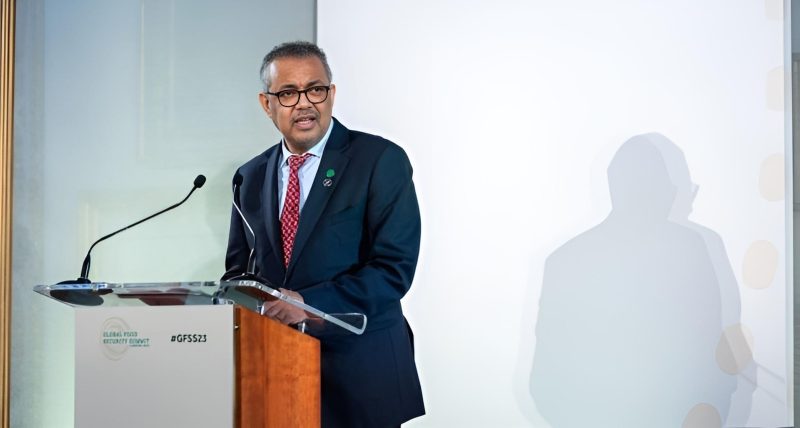 Tedros Adhanom Ghebreyesus: An estimated 1 million children a year die because of wasting