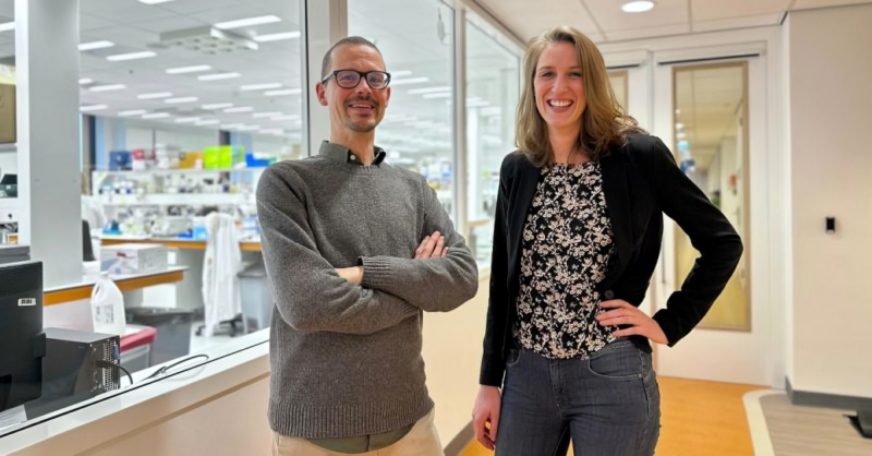 A detailed ‘atlas’ of neuroblastoma tumors points to a new target for immunotherapy – Prinses Máxima Centrum voor kinderoncologie