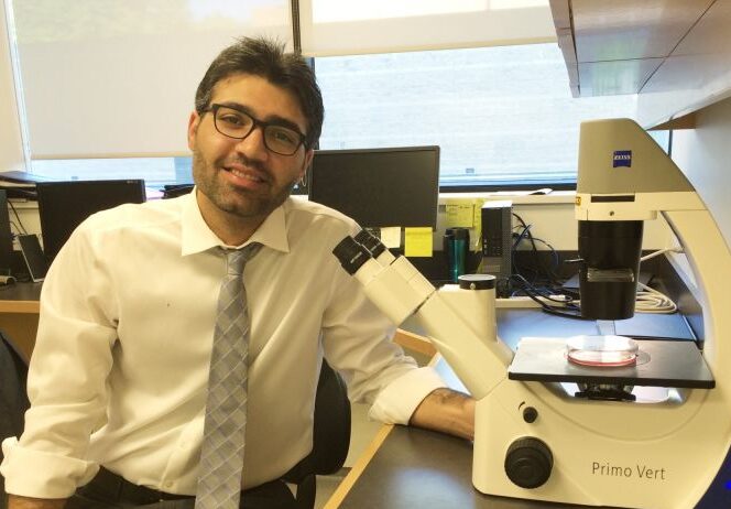 Saeid Ghavami: An emotional day for me – my former PhD candidate, Dr. Javad Alizadeh has successfully done his oral PhD and examination and graduated