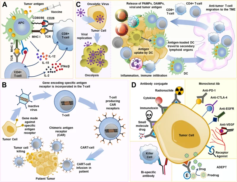 Immunotherapy for Lung Cancer