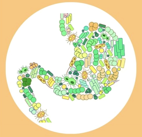IOWG Grand Rounds ‘The Microbiome in Oncology’ – Integrative Oncology Working Group