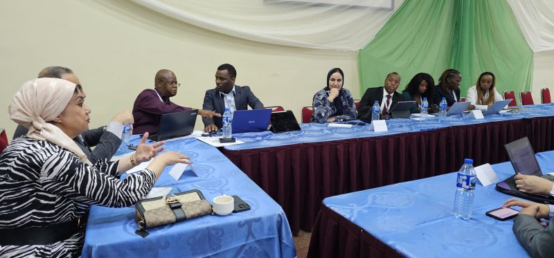 First Coordinating Meeting Of IAEA RAF 6060 Project – National Institute for Cancer Research and Treatment