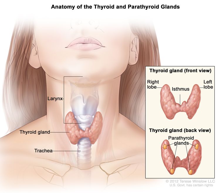 Parathyroid Cancer
