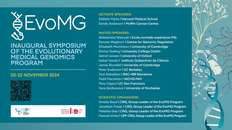 EvoMG Program 
