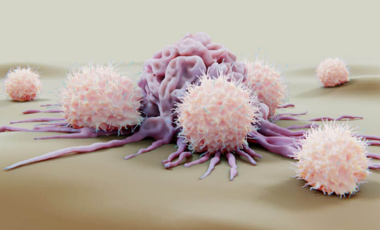 Key advances in the effort to harness NK cells at Dana-Farber Cancer Institute