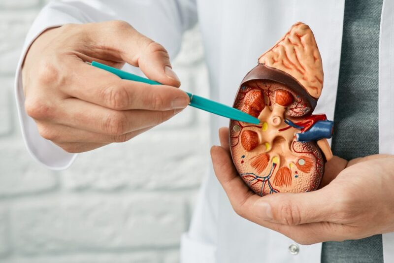 The scale of the burden of Kidney Cancer by Sergey Senkin – IARC WHO
