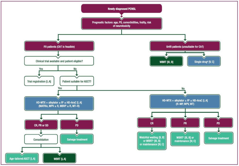 Practice Guideline