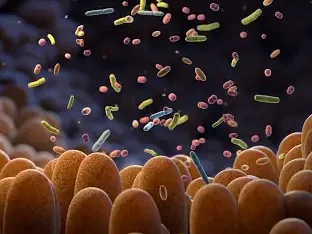 The role of gut microbiome in cancer at ESMOGI24