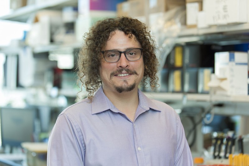 Intratumoral immune triads in elimination of solid tumors