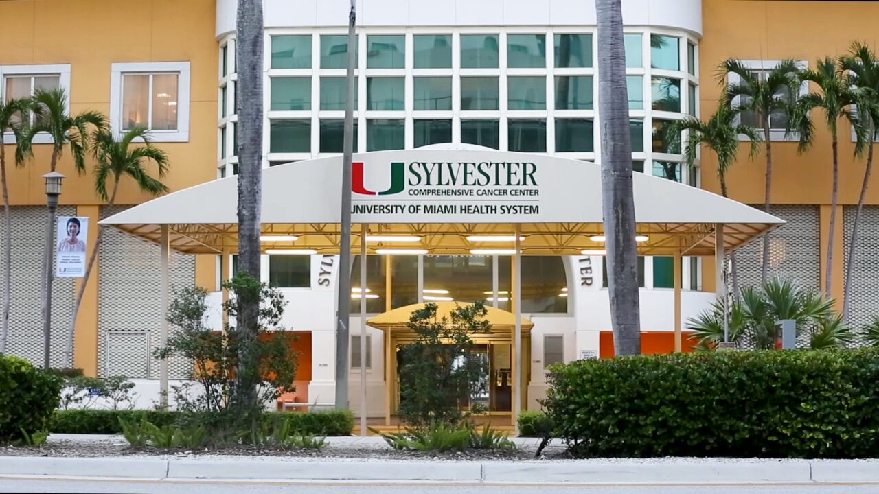 Sylvester Researchers Uncover Molecular Drivers of Cellular Differentiation