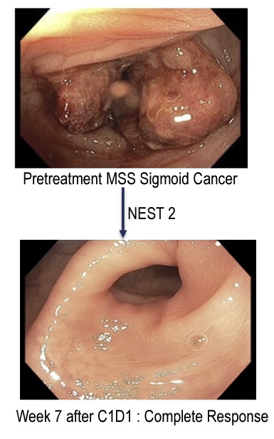 patients cannot wait