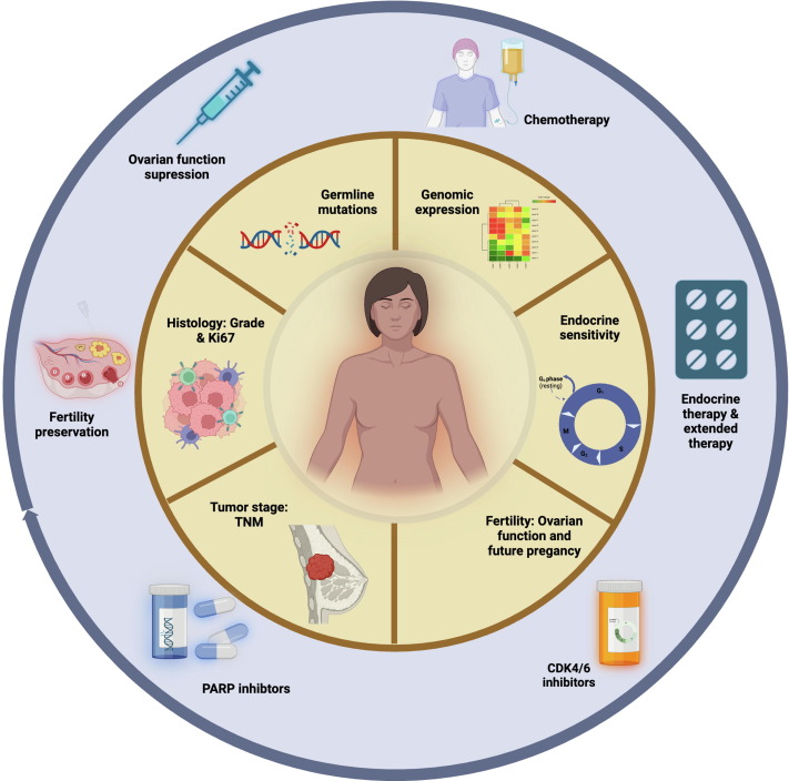 Benjamin Walbaum: Hormone receptor-positive early breast cancer in young women
