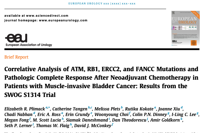 Muscle-Invasive
