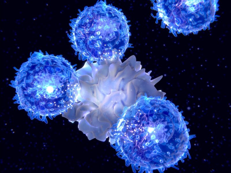 Anirban Maitra: Pan-cancer mapping of single CD8+ T cell profiles