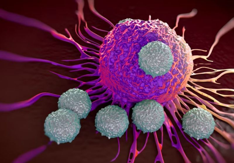 Maria Babak: Must read on CAR T-Cell Therapy
