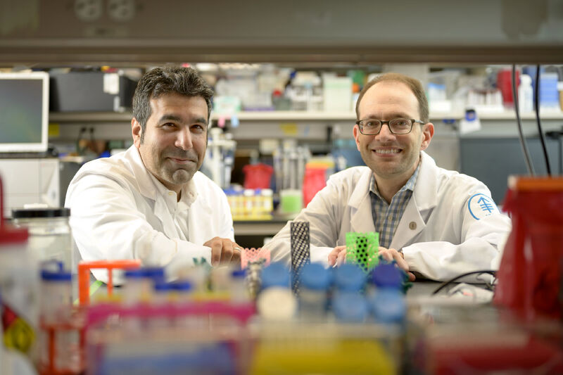 First-of-its-kind PhD program in cancer engineering – MSKCC
