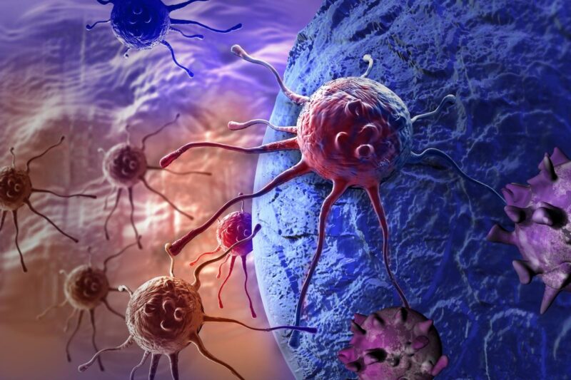 Tandem autologous stem cell transplantation does not benefit high-risk myeloma patients