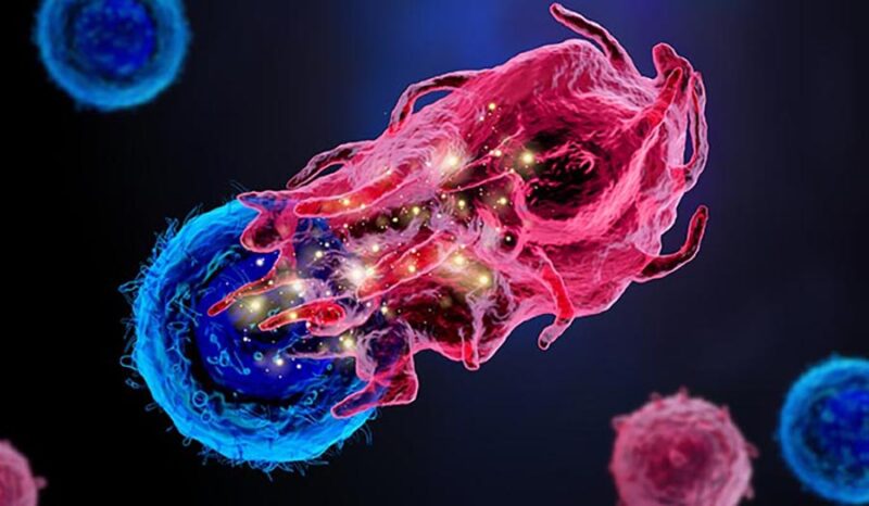 Cathy Sung: Our paper on Macrophage depletion against cisplatin-induced ototoxicity and nephrotoxicity
