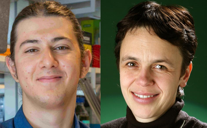 Mammary Cell News congratulates Drs. Carlos Ronchi, Cathrin Brisken on recent NPJ Journals study