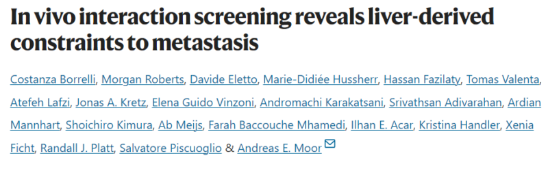 Andreas Moor