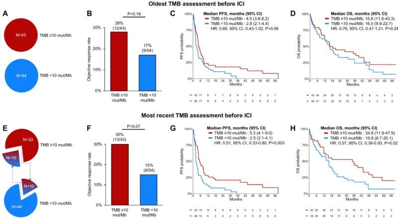 Alessandro Di Federico