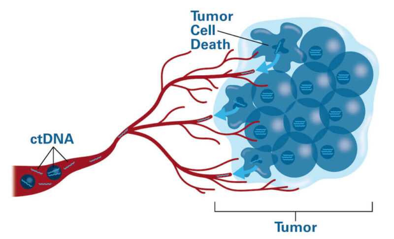 Clinical Utility of Pre-surgical ctDNA Detection in Early Stage NSCLC