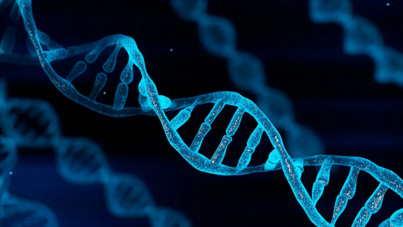 Stephen Liu: Novel epigenomic cfDNA approach in diagnosis of EGFR mutant NSCLC