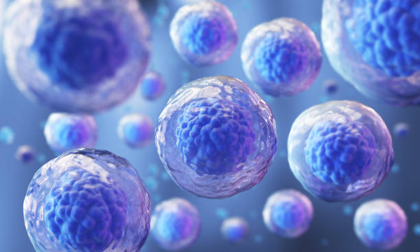 A blood test that may predict if people with relapsed MM are going to respond well to CAR-T immunotherapy – Weill Cornell Medicine