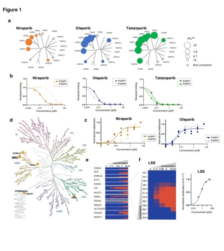 María Natalia Gandur Quiroga