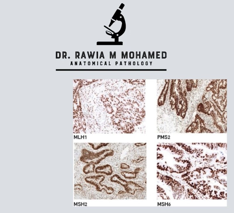 Rawia Mohamed