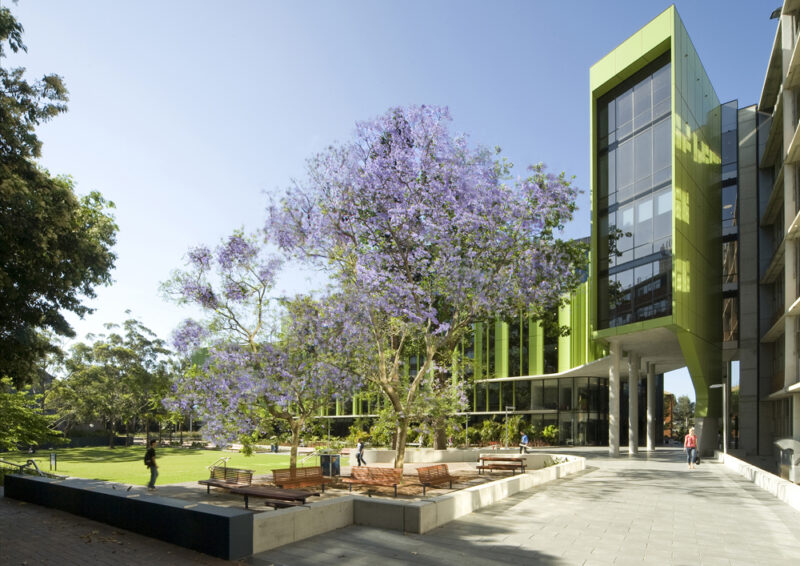 A Legacy of Hope: The founding of the Children’s Cancer Institute