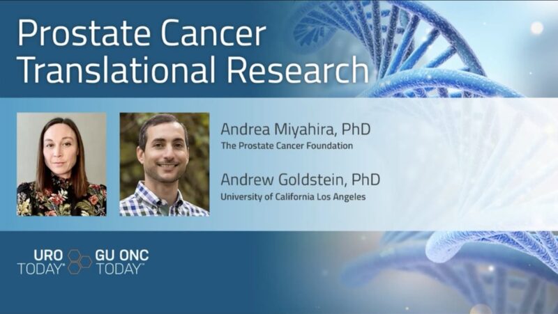 How prostate cancer metabolism influences response to anti-androgen therapy