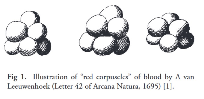 history of blood
