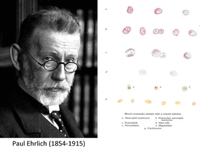 history of blood