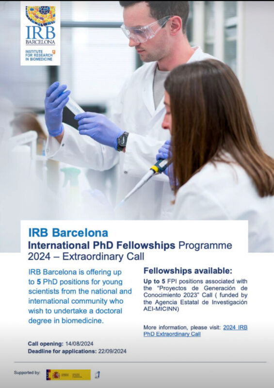 International PhD fellowships