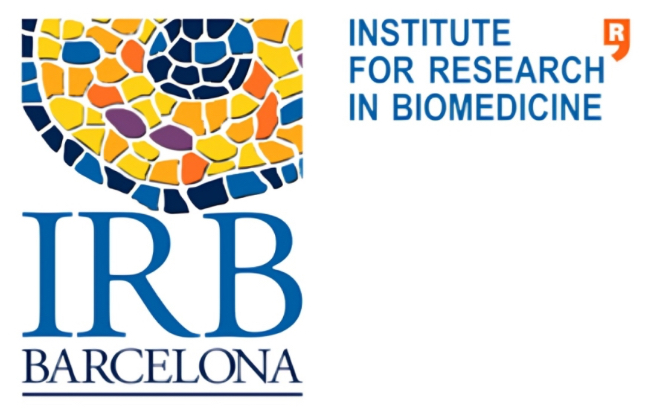 The IRB Barcelona International PhD Fellowships Programme 2024 is open!