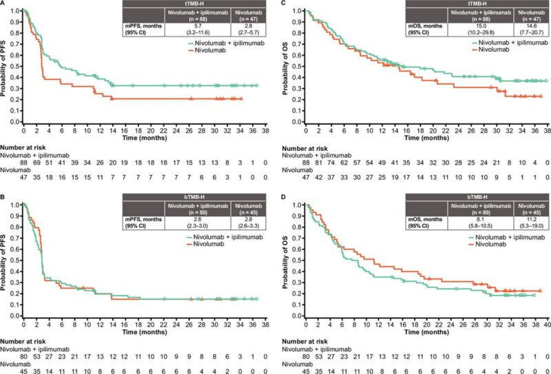 Journal for ImmunoTherapy of Cancer